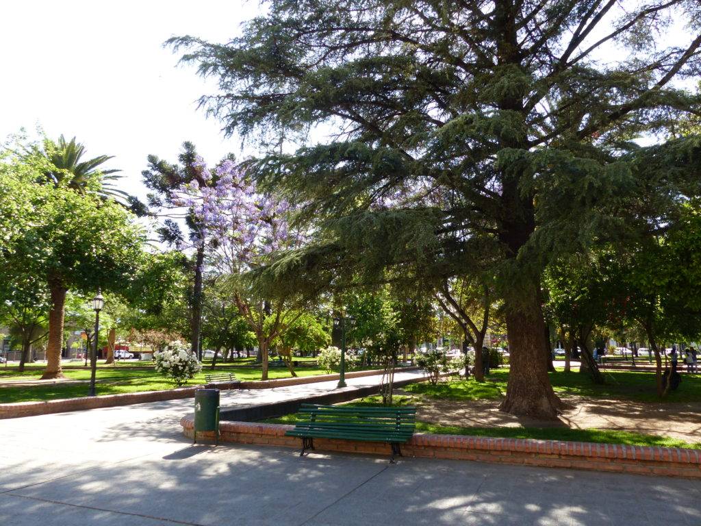 Plaza san Martin